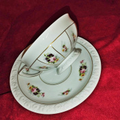 filiżanka do herbaty Rosenthal Maria Poesie