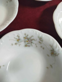 salaterka Rosenthal Monbijou Grune Ranke