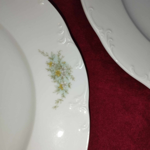 talerz płaski Rosenthal Monbijou Grune Ranke talerz płaski Rosenthal Monbijou Grune Ranke
