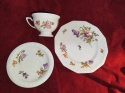 filiżanka -zestaw Rosenthal Maria Sommerstrauss