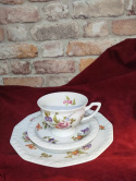 filiżanka -zestaw Rosenthal Maria Sommerstrauss