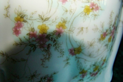 waza Rosenthal Monbijou Grune Ranke waza Rosenthal Monbijou Grune Ranke