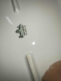 połmisek-patera Rosenthal Biała Maria