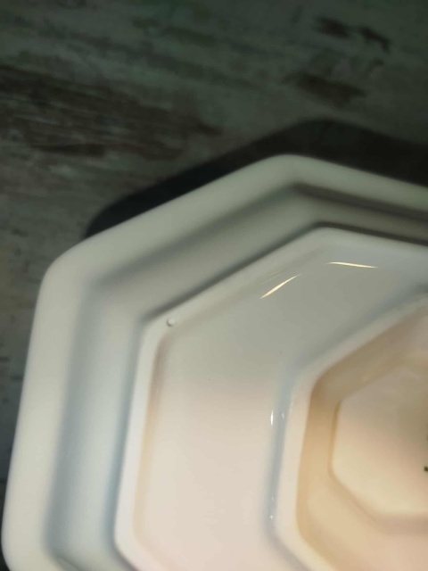 sosjerka Rosenthal Biała Maria