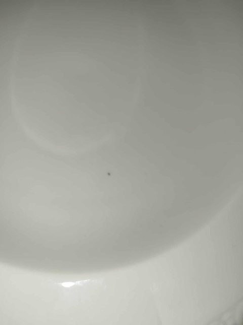 6X talerz głęb. Rosenthal Biała Maria