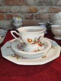 Filiżanka - zestaw Rosenthal Maria Sommerstrauss
