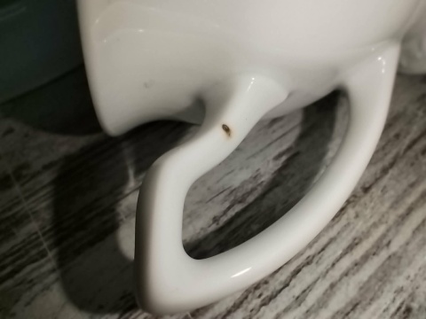 duża filiżanka z podst. Rosenthal Biała Maria