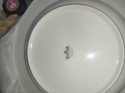 6X talerz głęb. Rosenthal Biała Maria