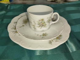 filiżanka do herbaty Rosenthal Grune Ranke-zestaw