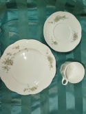 filiżanka do herbaty Rosenthal Grune Ranke-zestaw