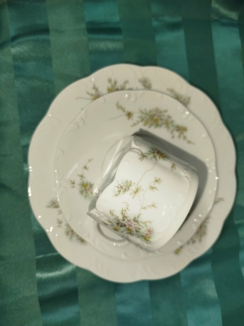 filiżanka do herbaty Rosenthal Grune Ranke-zestaw