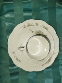 filiżanka do herbaty Rosenthal Grune Ranke-zestaw