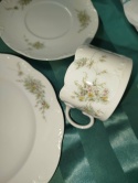 filiżanka do herbaty Rosenthal Grune Ranke-zestaw