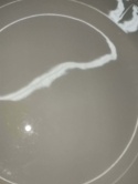 talerz płaski Rosenthal Biala Maria