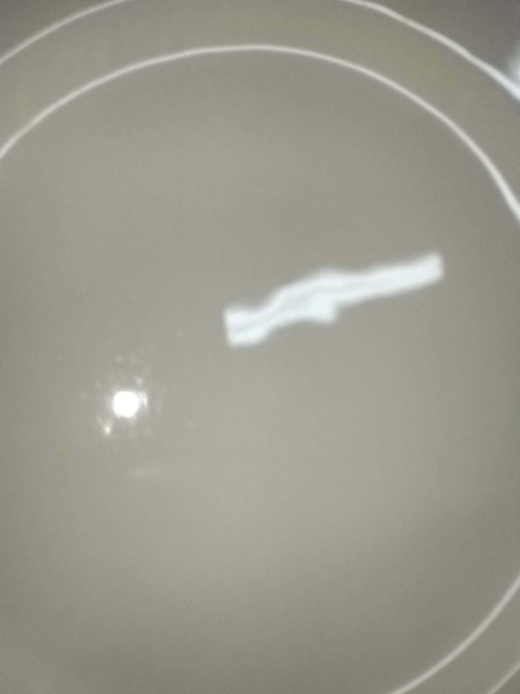 talerz płaski Rosenthal Biala Maria
