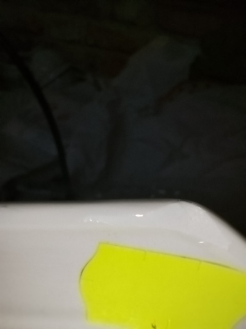 waza Rosenthal Biała Maria